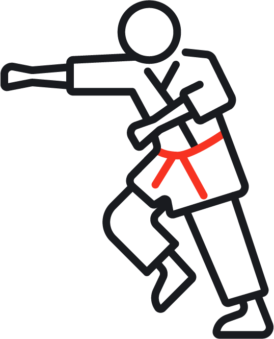 Celik Taekwondo